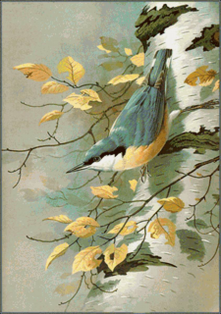 Худ. Эде - береза, поползень, птицы, осень - предпросмотр