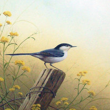 Схема вышивки «Худ. Ральф Ватерхаус»