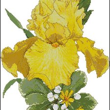 Схема вышивки «orchid»