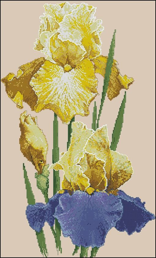 orchid - оригинал