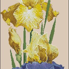 Схема вышивки «orchid»