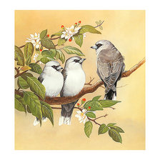 Схема вышивки «Птицы.»