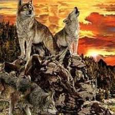 Схема вышивки «волки»