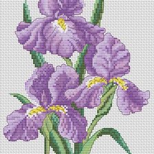 Схема вышивки «ирисы»