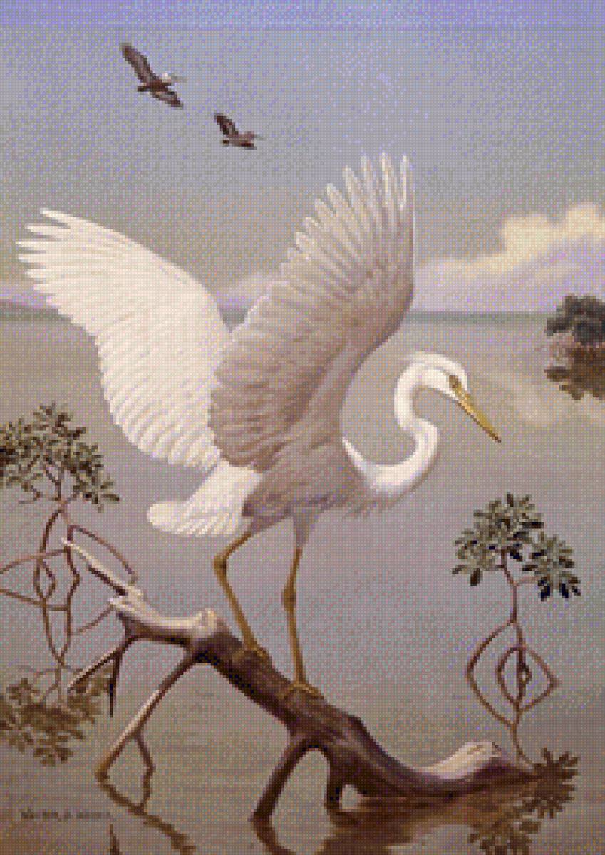 птицы - предпросмотр