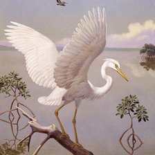 Схема вышивки «птицы»