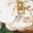 Предпросмотр схемы вышивки «№2098694»