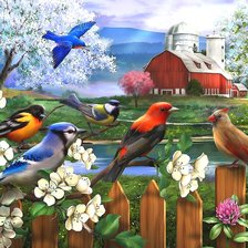 Схема вышивки «птички»