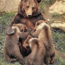 Схема вышивки «537»