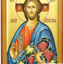 Схема вышивки «Истинная Лоза»