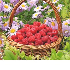 Схема вышивки «№2099757»