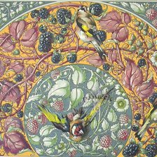 Схема вышивки «Anton seder»