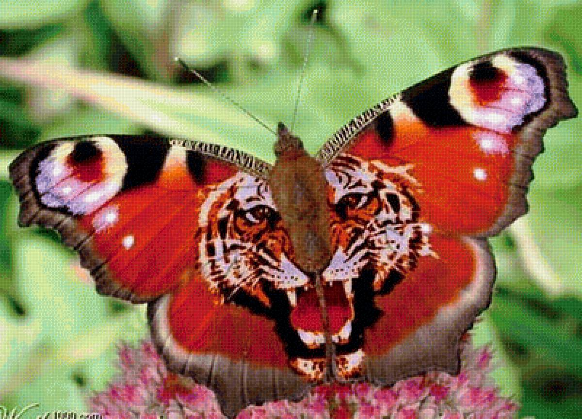 бабочка-тигр - бабочки, природа - предпросмотр