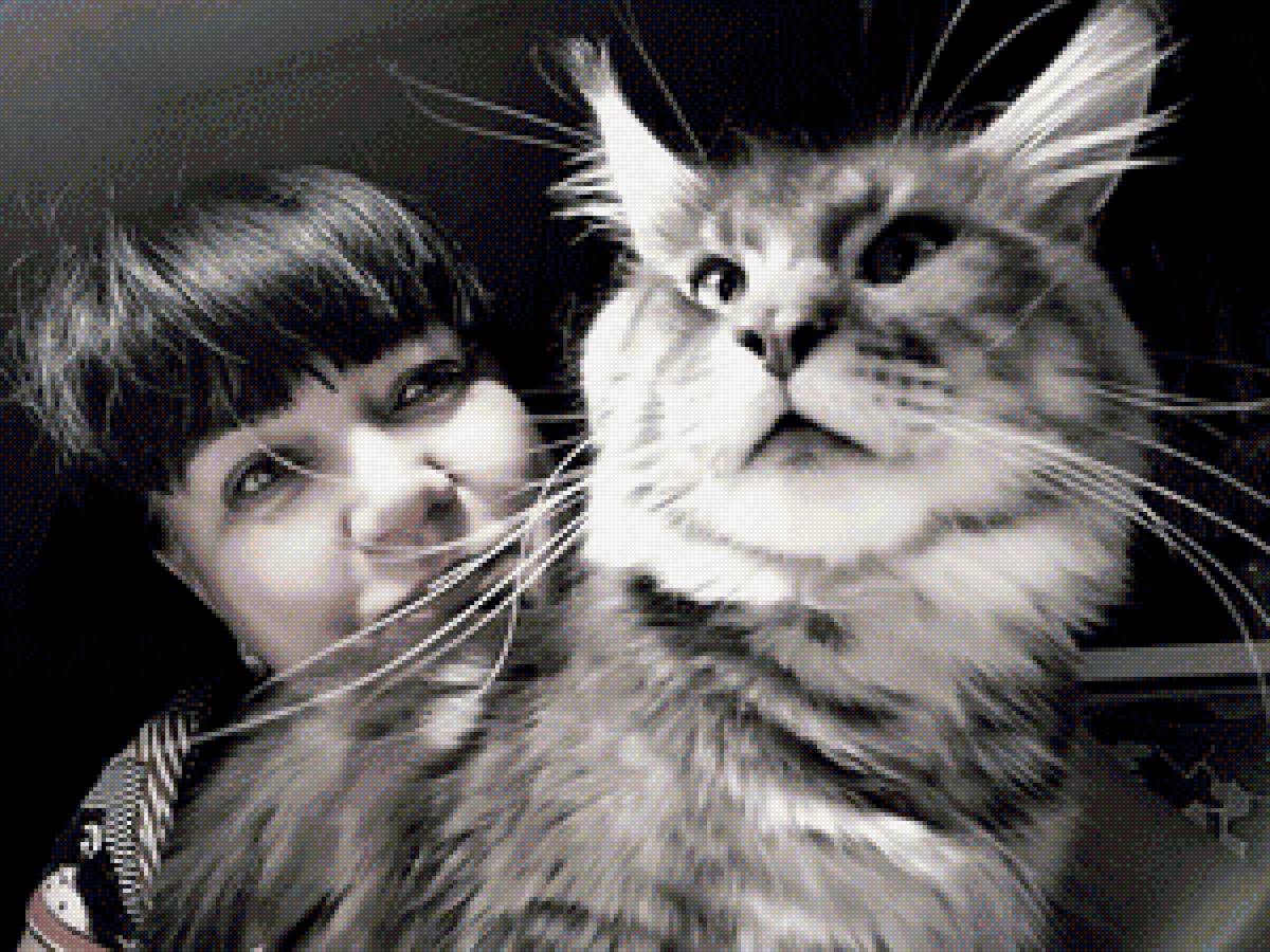 мейн кун Федор - предпросмотр