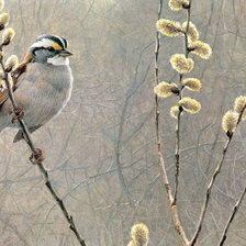 Схема вышивки «Худ. Роберт Бетман»