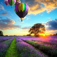 Схема вышивки «Лавандовое поле»