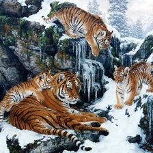 Схема вышивки «дикие»