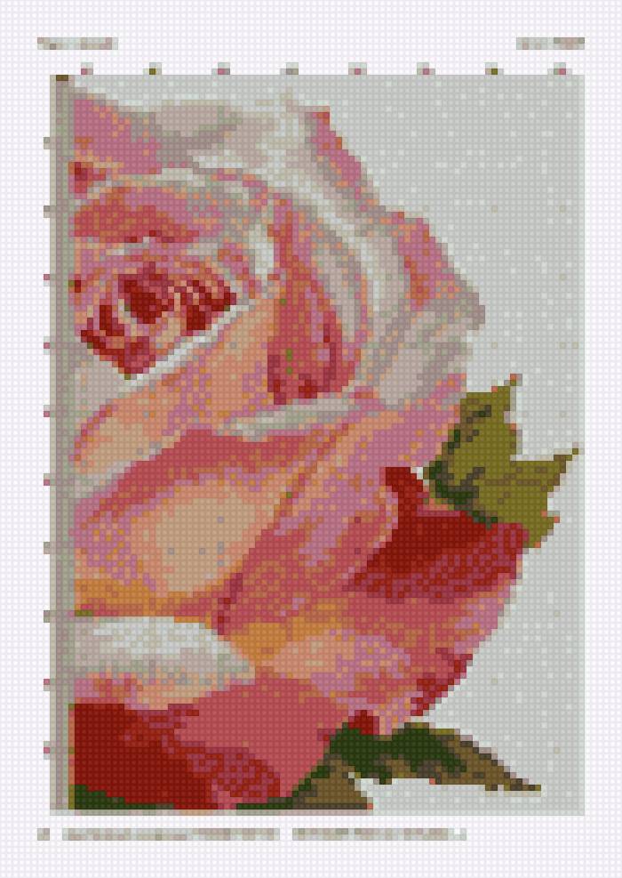 Роз - роза - предпросмотр