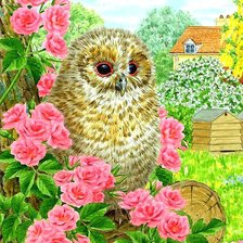 Схема вышивки «совёнок»