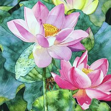 Схема вышивки «Акварельные лотосы»