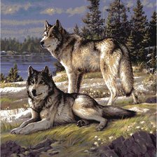 Схема вышивки «волки»