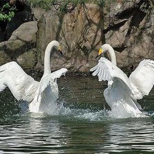 Схема вышивки «лебеди»
