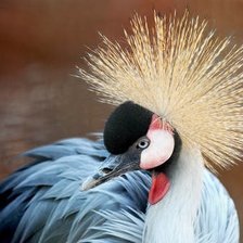 Схема вышивки «Венценосный журавль 3»