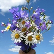 Схема вышивки «цветы»