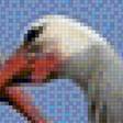 Предпросмотр схемы вышивки «птицы» (№2101114)