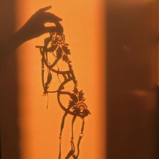 Схема вышивки «Тень»