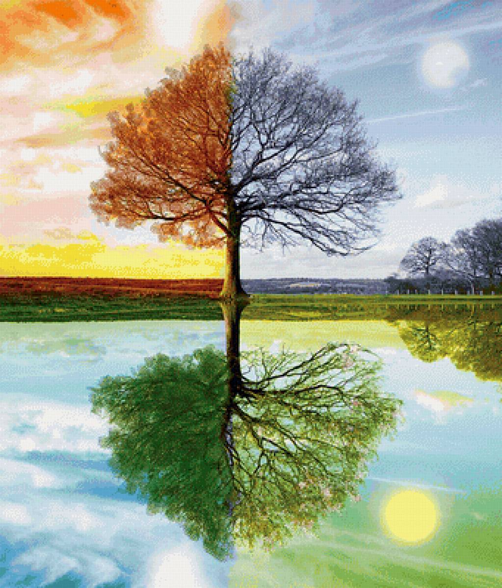 Дерево. Времена года. - пейзаж, времена года, дерево - предпросмотр