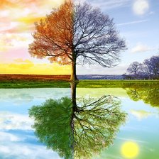 Схема вышивки «Дерево. Времена года.»