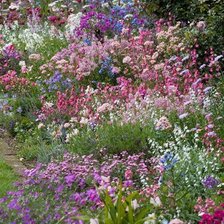 Схема вышивки «полянка»