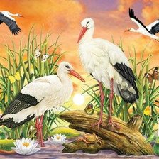 Схема вышивки «аисты»