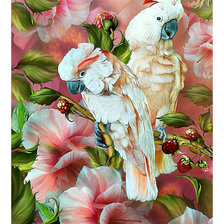 Схема вышивки «Серия "Птицы". Попугаи»