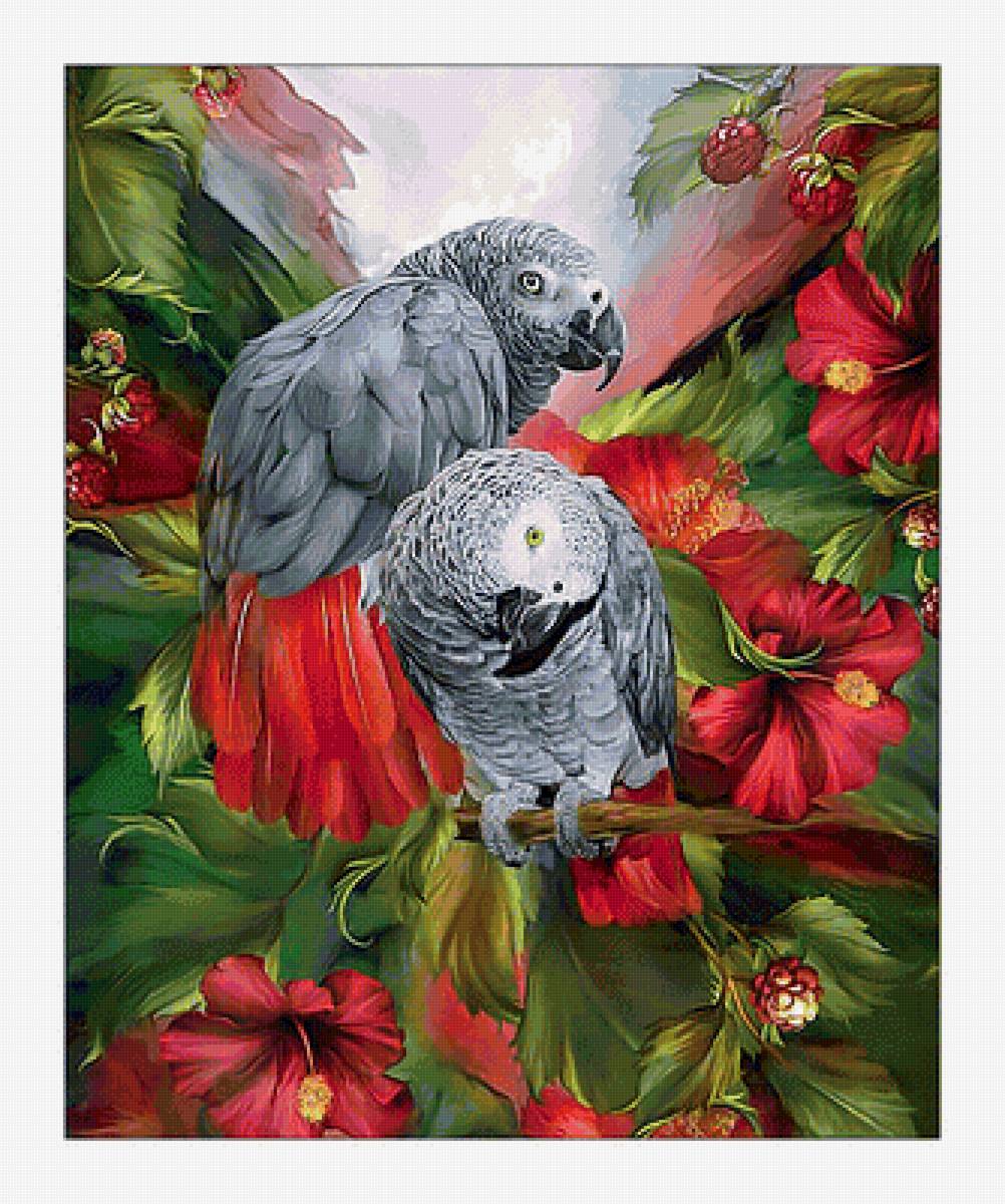 Жако. - живопись, попугаи, цветы, птицы - предпросмотр