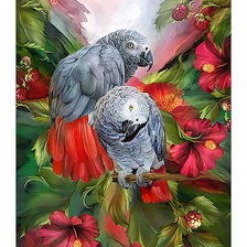 Схема вышивки «Жако.»