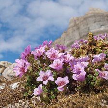 Схема вышивки «В горах»