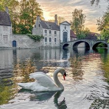 Схема вышивки «Лебедь»