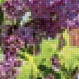 Предпросмотр схемы вышивки «Сирень у дома» (№2102636)