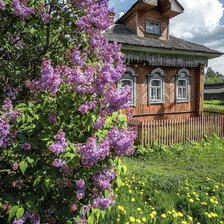 Схема вышивки «Сирень у дома»