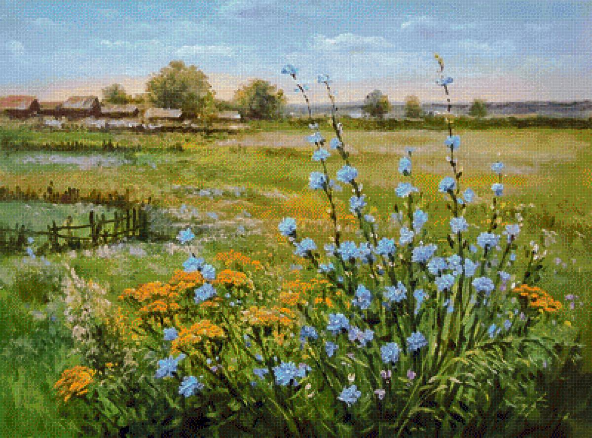 Cornflowers. - landscapes.flowers and gardens. - предпросмотр