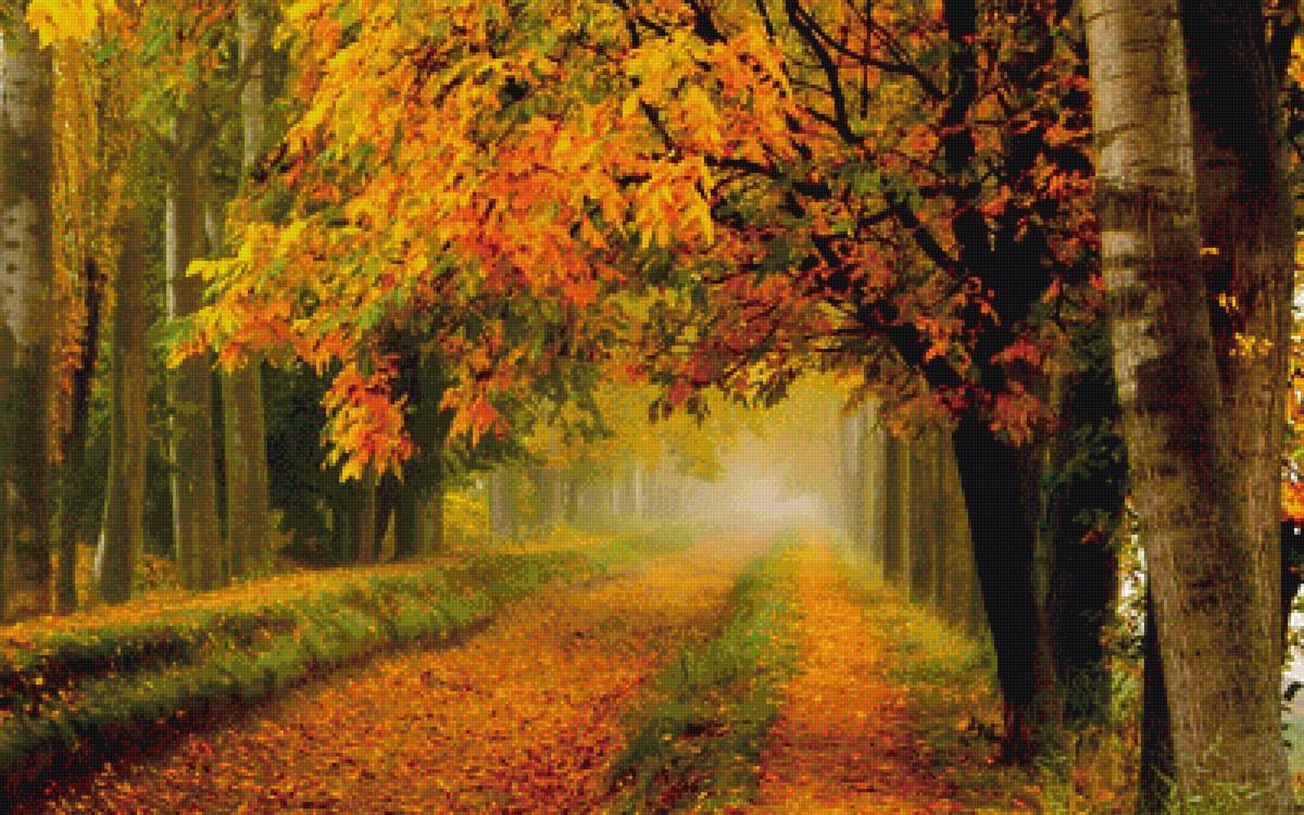 Золотая осень - природа - предпросмотр