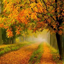 Золотая осень