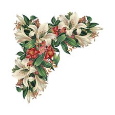 Схема вышивки «САЛФЕТКА ЛИЛИИ-1»