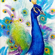 Схема вышивки «Акварельный павлин»