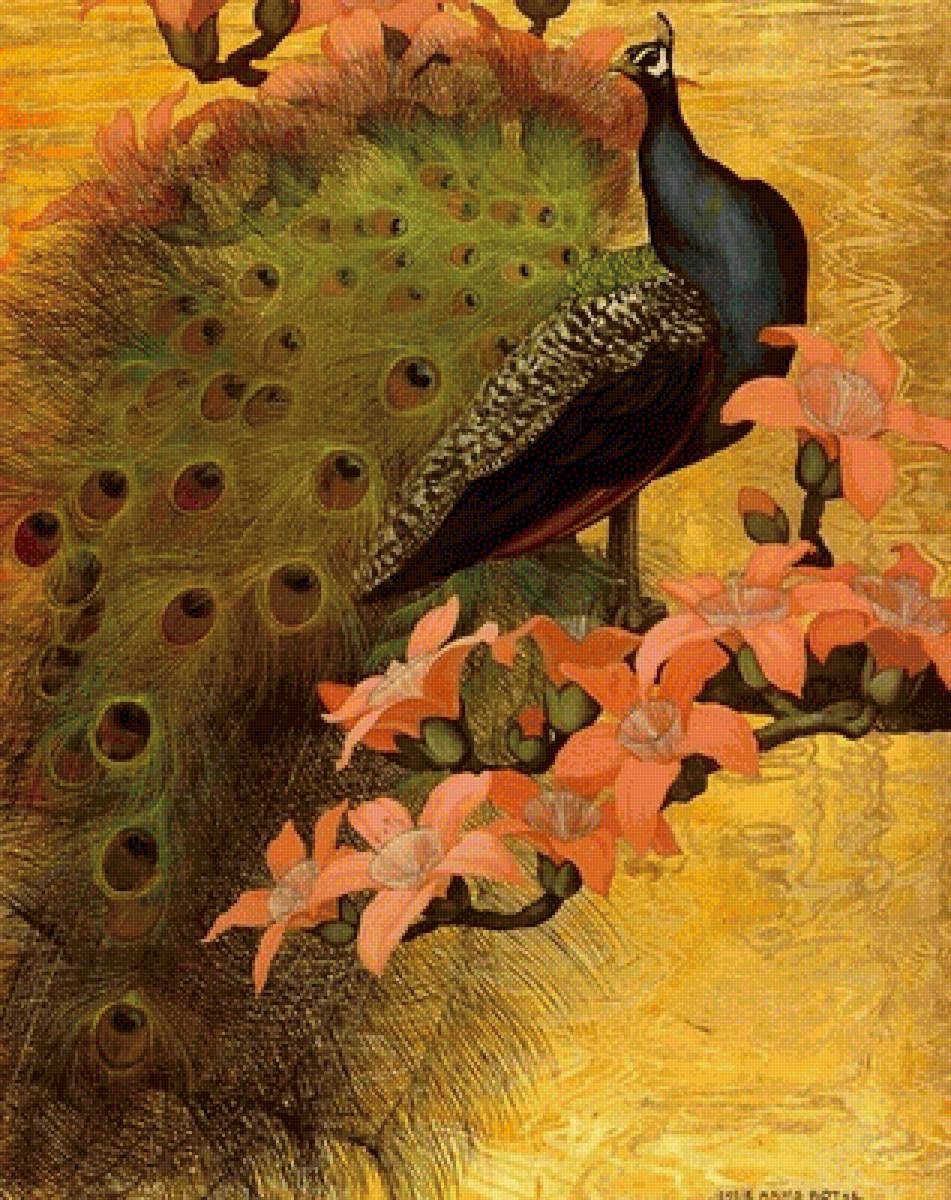 Японский павлин - япония, павлин, птица - предпросмотр