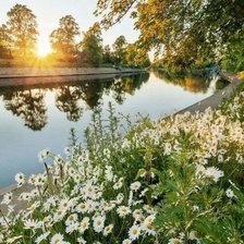 Схема вышивки «природа»