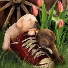 Схема вышивки «amigos»