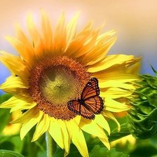 Схема вышивки «природа»